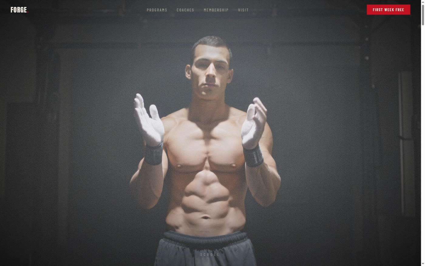 Forge Fitness